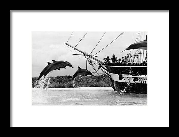 Following Framed Print featuring the photograph Leaping Dolphins #1 by Leonard G. Alsford