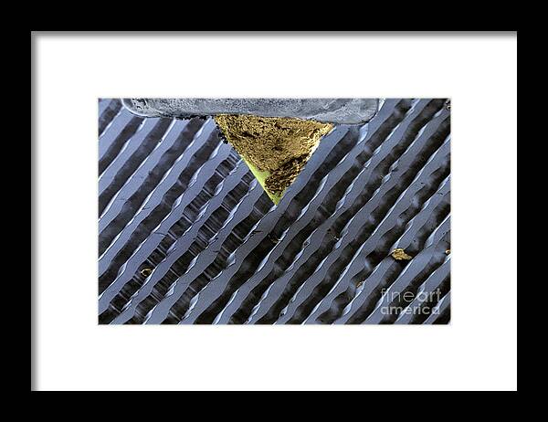 Long Playing Record Framed Print featuring the photograph Lp Gramophone Record With Diamond Stylus #1 by Dr Jeremy Burgess/science Photo Library