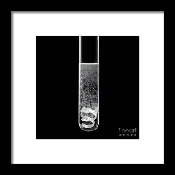 Chemical Framed Print featuring the photograph Magnesium-acid Reaction #1 by Science Photo Library