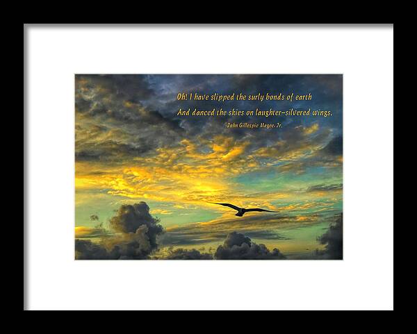 Charleston Framed Print featuring the photograph Morning Flight #2 by Jack Wilson
