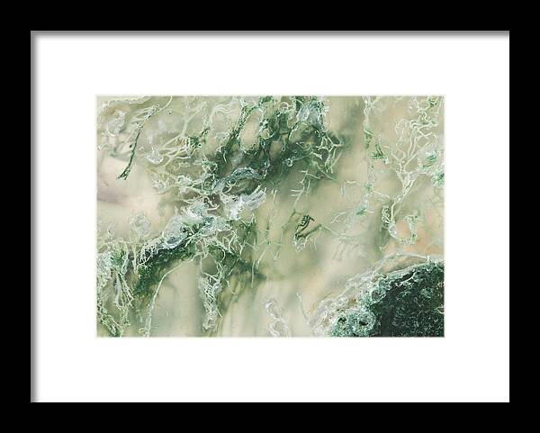 Abstract Framed Print featuring the photograph Moss Agate Moss, Closeup #1 by Mark Windom