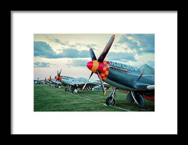 Fighter Framed Print featuring the photograph Nose Knows #1 by Laura Hedien