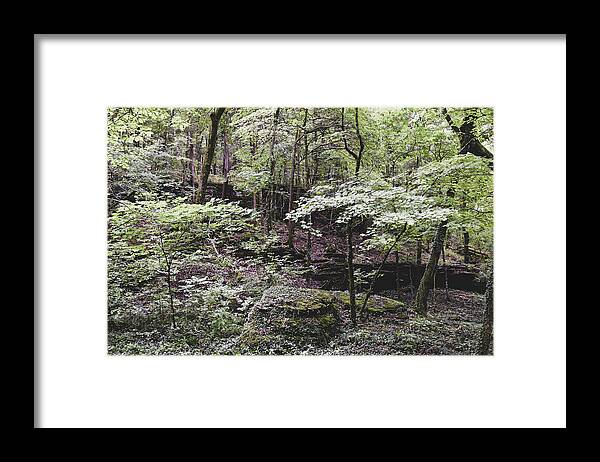 Photograph Framed Print featuring the photograph Ozark Walk by Kelly Thackeray