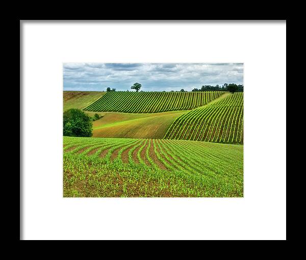 Photography Framed Print featuring the photograph Pastoral Countryside Vi #1 by Colby Chester