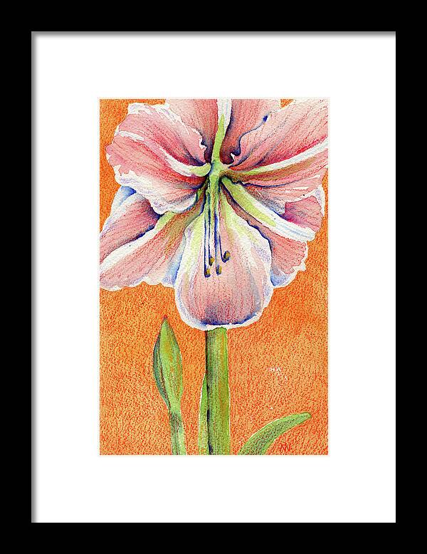 Amaryllis Framed Print featuring the painting Pink Amaryllis by AnneMarie Welsh
