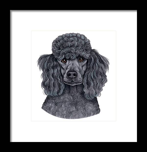 Poodle Black Framed Print featuring the mixed media Poodle Black #1 by Tomoyo Pitcher