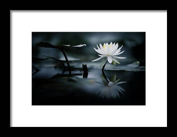 Zen Framed Print featuring the photograph Reflection #1 by Takashi Suzuki