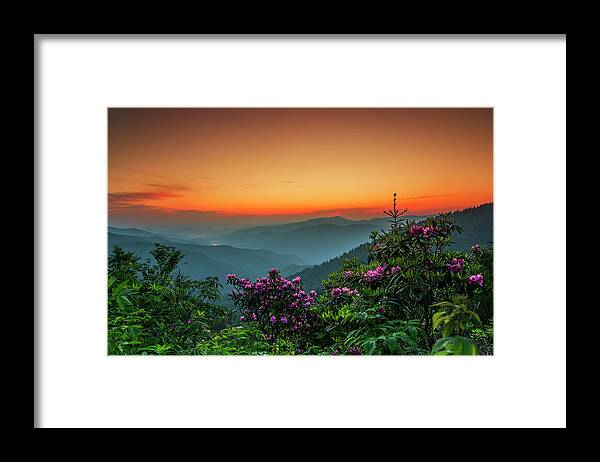Scenics Framed Print featuring the photograph Rhododendron On The Blue Ridge Parkway #1 by Itai Minovitz