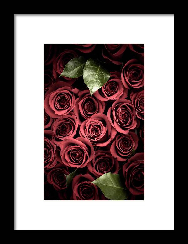 Backgrounds Framed Print featuring the photograph Rose Background #1 by Liliboas