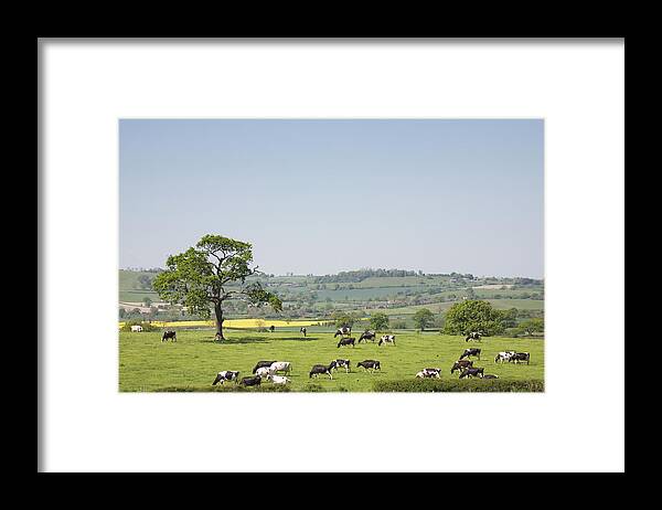 England Framed Print featuring the photograph Rural England #1 by Dageldog