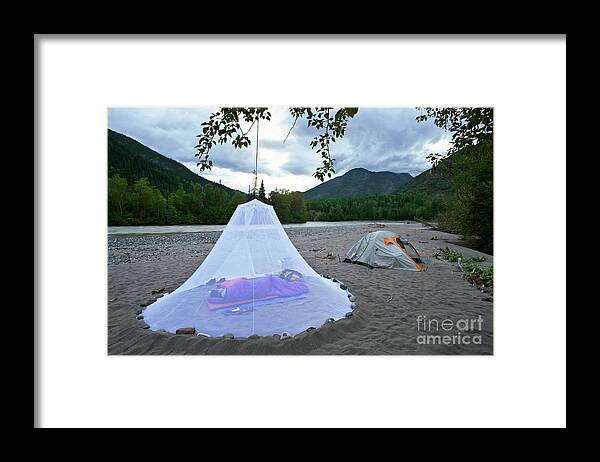 Back Country Framed Print featuring the photograph Sleeping Under A Mosquito Net #1 by David Nunuk/science Photo Library