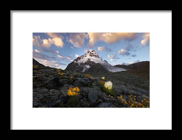 Mountains Framed Print featuring the photograph Snow Lotus #1 by Simoon