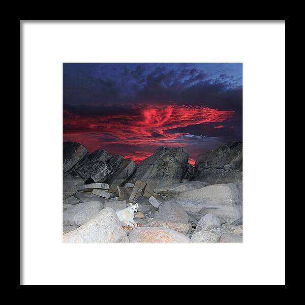 Sekani Framed Print featuring the photograph Something Wicked This Way Comes #2 by Sean Sarsfield