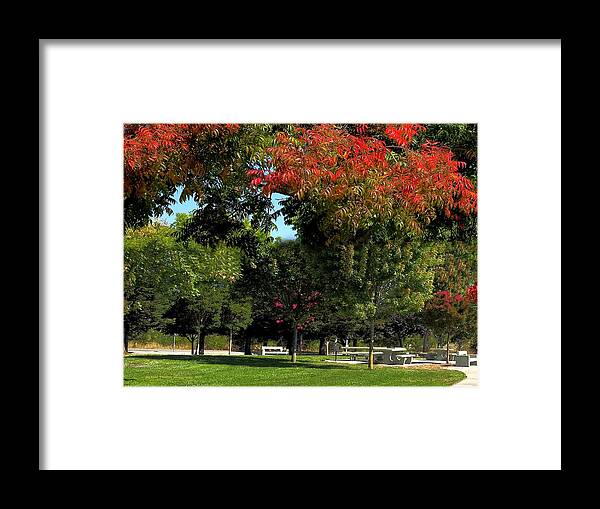 Seasons Framed Print featuring the photograph Summer to Fall #1 by Richard Thomas