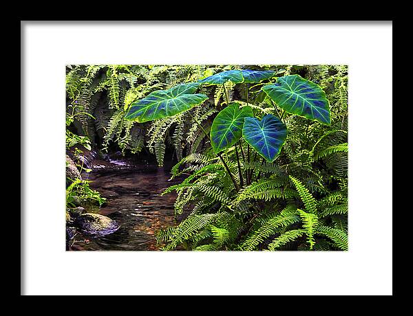 Nature Framed Print featuring the photograph Tranquility by Gerlinde Keating - Galleria GK Keating Associates Inc