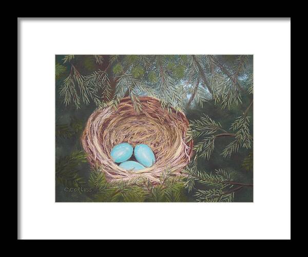 Eggs Framed Print featuring the pastel Triplets #1 by Carol Corliss