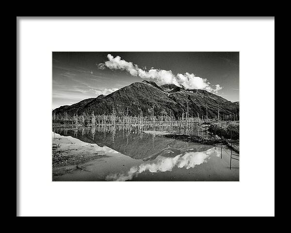 Alaska Wilderness Framed Print featuring the photograph Turnagain Arm Alaska by Donald Pash