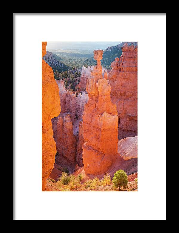 Estock Framed Print featuring the digital art Usa, Utah, Bryce Canyon, Natl. Park #1 by Tim Draper
