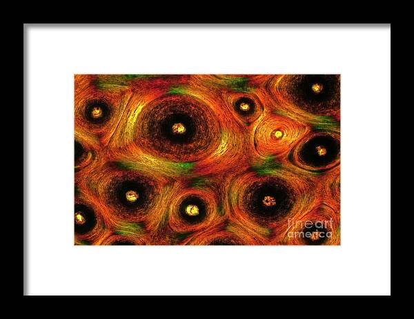 Tissue Framed Print featuring the photograph Whale Bone Tissue #1 by Dr Keith Wheeler/science Photo Library