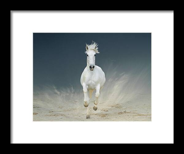 Horse Framed Print featuring the photograph White Horse Galloping #1 by Christiana Stawski