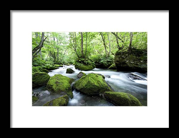 Scenics Framed Print featuring the photograph Woodland Stream #1 by Ooyoo