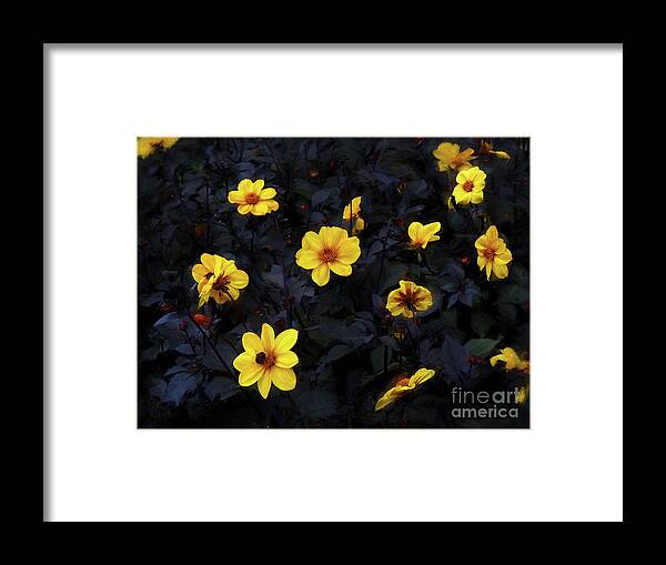 Yellow Velvet Framed Print featuring the mixed media Yellow Velvet by Helen White