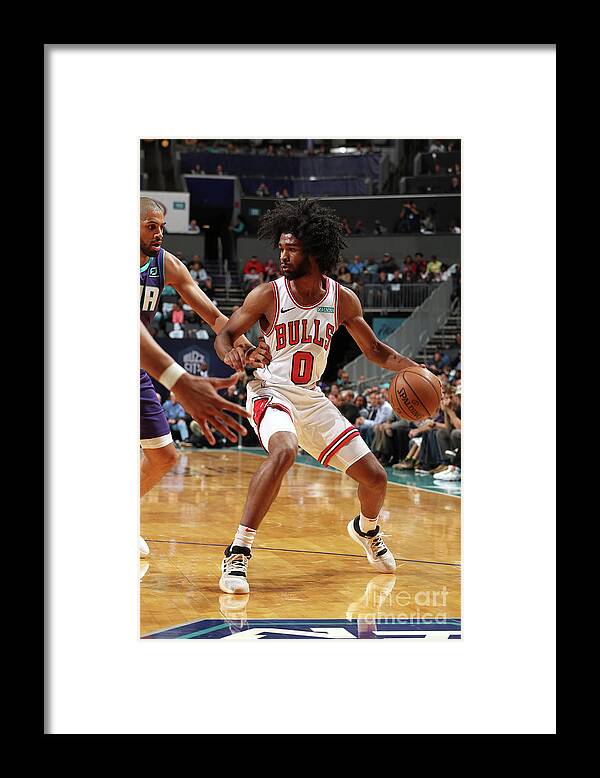 Coby White Framed Print featuring the photograph Chicago Bulls V Charlotte Hornets by Kent Smith