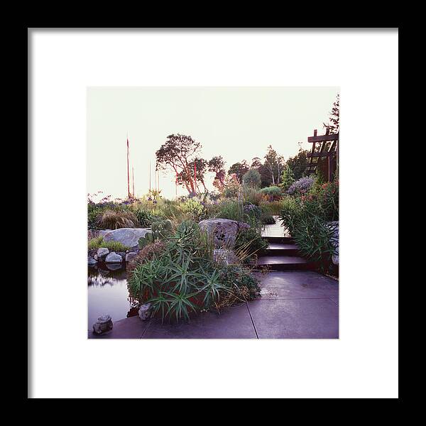 Steps Framed Print featuring the photograph Dan Hinkley Garden #10 by Richard Felber