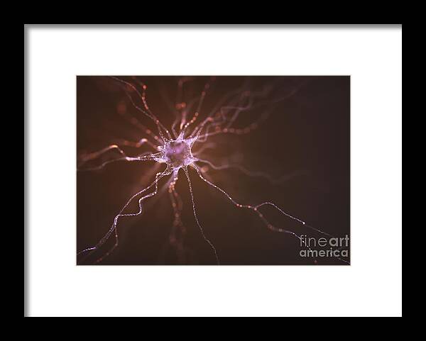 3d Illustration Framed Print featuring the photograph Nerve Cell #10 by Ktsdesign/science Photo Library