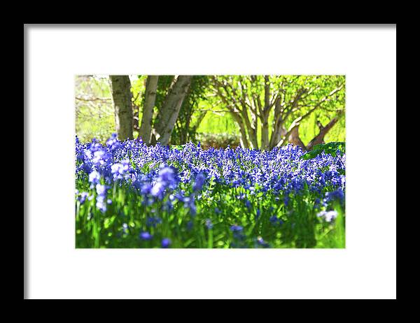 122 Framed Print featuring the photograph 122 by Incredi