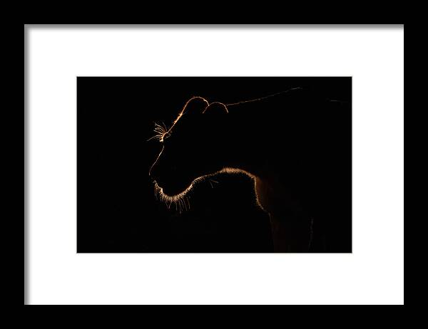 Outline Framed Print featuring the photograph #15 by Amnon Eichelberg