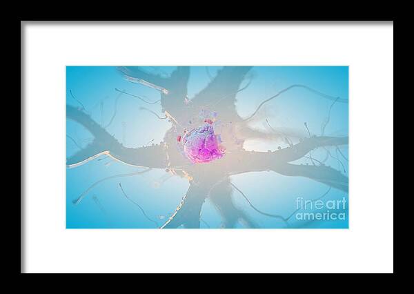 3d Framed Print featuring the photograph Illustration Of A Human Nerve Cell #18 by Sebastian Kaulitzki/science Photo Library