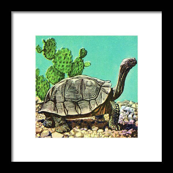 Amphibian Framed Print featuring the drawing Turtle #19 by CSA Images