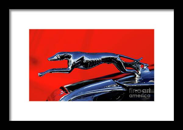 1934 Ford Hood Ornament Framed Print featuring the photograph 1934 Ford by Terri Brewster