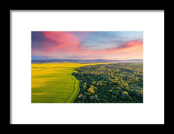 Landscape Framed Print featuring the photograph Aerial Drone Top View Of Yellow #2 by Ivan Kmit
