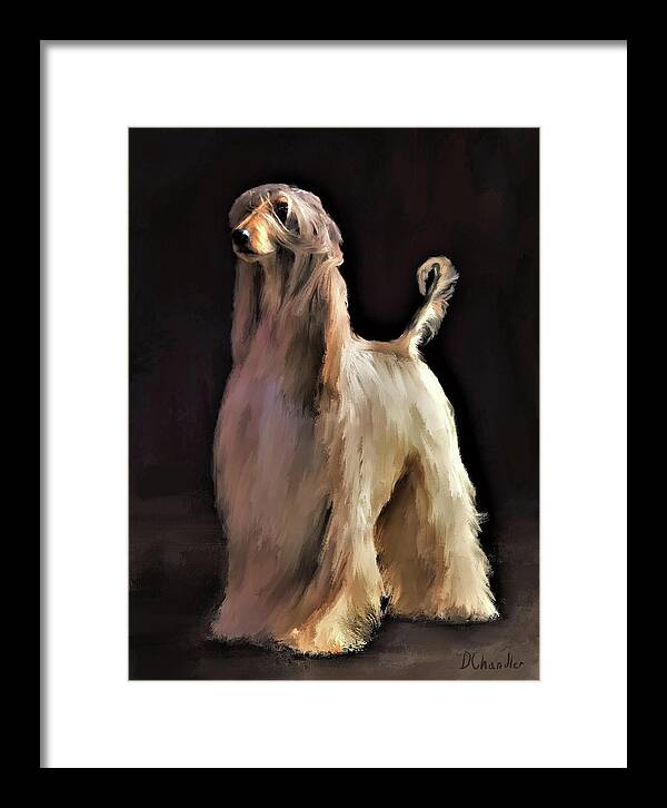 Afghan Hound Framed Print featuring the digital art Afghan Hound #2 by Diane Chandler