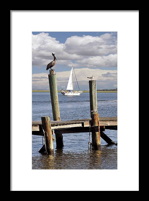Nautical Framed Print featuring the photograph After The Catch #1 by Randall Dill