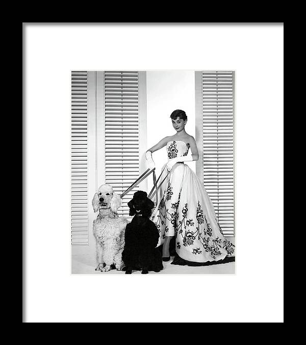 Audrey Hepburn Framed Print featuring the photograph AUDREY HEPBURN in SABRINA -1954-. #2 by Album