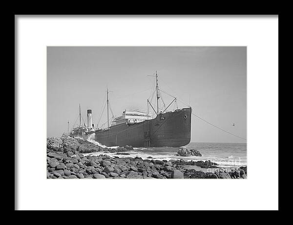 Frank Buck Framed Print featuring the photograph Frank H. Buck was an oil tanker of the Associated Oil Company an #2 by Monterey County Historical Society