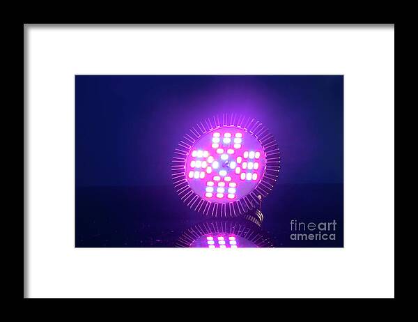 Horticulture Framed Print featuring the photograph Led Lamp For Growing Plants #2 by Wladimir Bulgar/science Photo Library