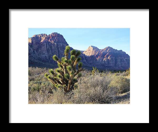 Red Rock Canyon National Conservation Area Framed Print featuring the photograph Red Rock Canyon #2 by Maria Jansson