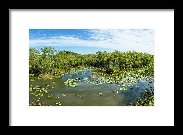 204776 Framed Print featuring the photograph Scenic View Of Wetland, Anhinga Trail #2 by Panoramic Images