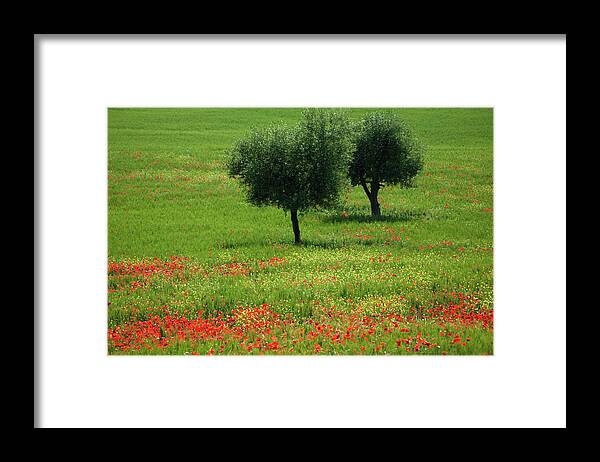 Val D'orcia Framed Print featuring the photograph Tuscany 2008 #2 by Ingmar Wesemann