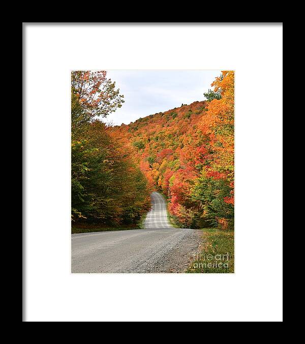 Vermont Framed Print featuring the photograph Vermont on Fire #1 by Steve Brown