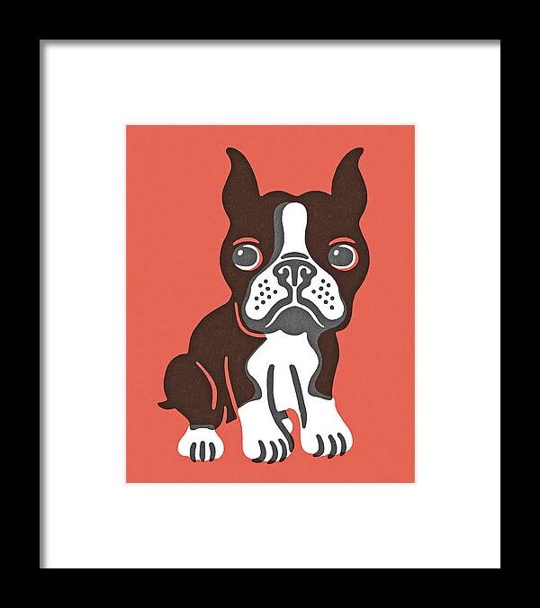 Animal Framed Print featuring the drawing Boston Terrier #20 by CSA Images