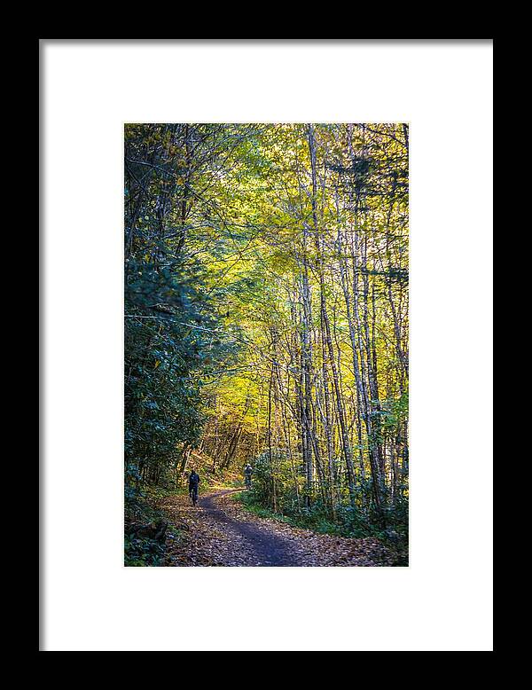 Mountain Bike Framed Print featuring the photograph Views Along Virginia Creeper Trail During Autumn #20 by Alex Grichenko
