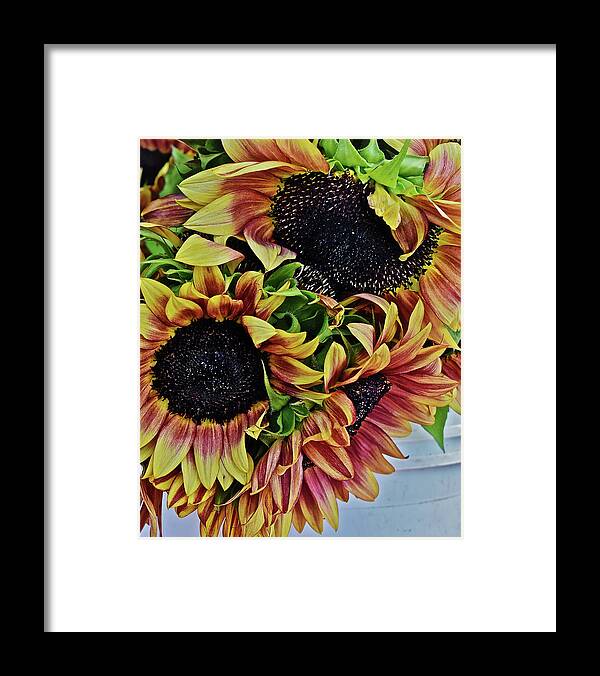Flowers Framed Print featuring the photograph 2019 Monona Farmers' Market July Sunflowers 3 by Janis Senungetuk