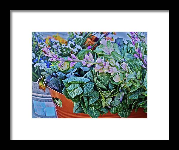 Flowers Framed Print featuring the photograph 2019 Monona Farmers' Market Late October Flowers 3 by Janis Senungetuk