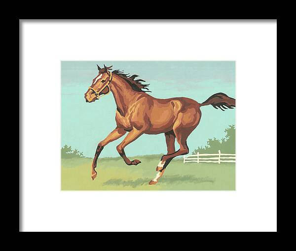 Activity Framed Print featuring the drawing Horse #21 by CSA Images