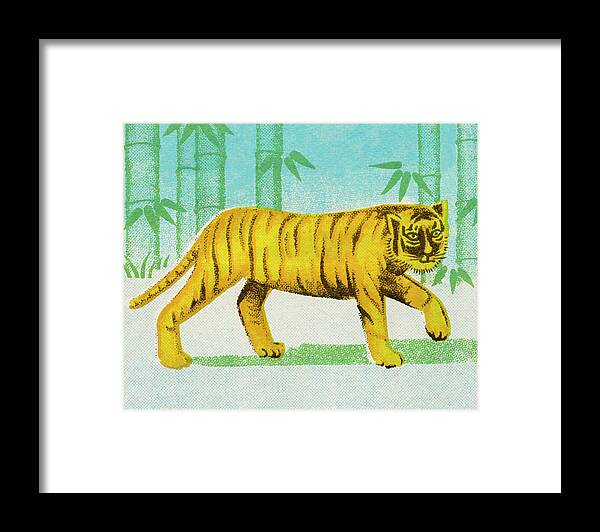 Animal Framed Print featuring the drawing Tiger #22 by CSA Images